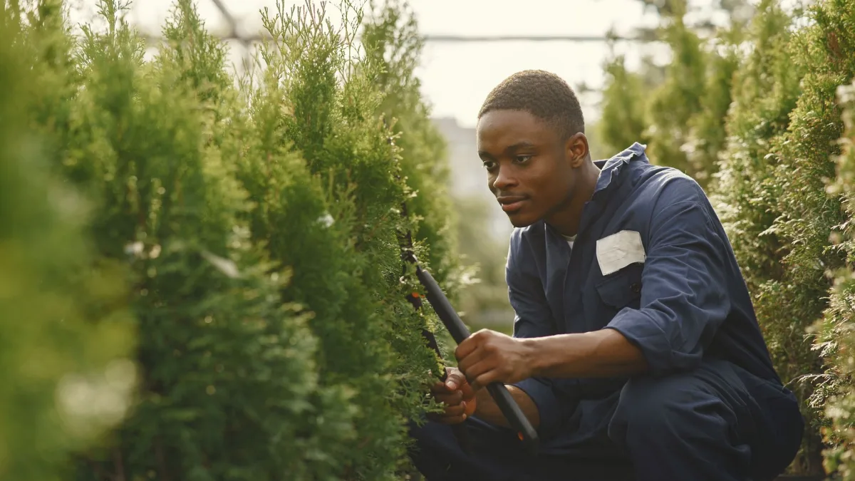 Content Pruning: What to Delete, Merge, or Keep